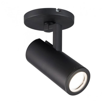 Paloma Spot Light
