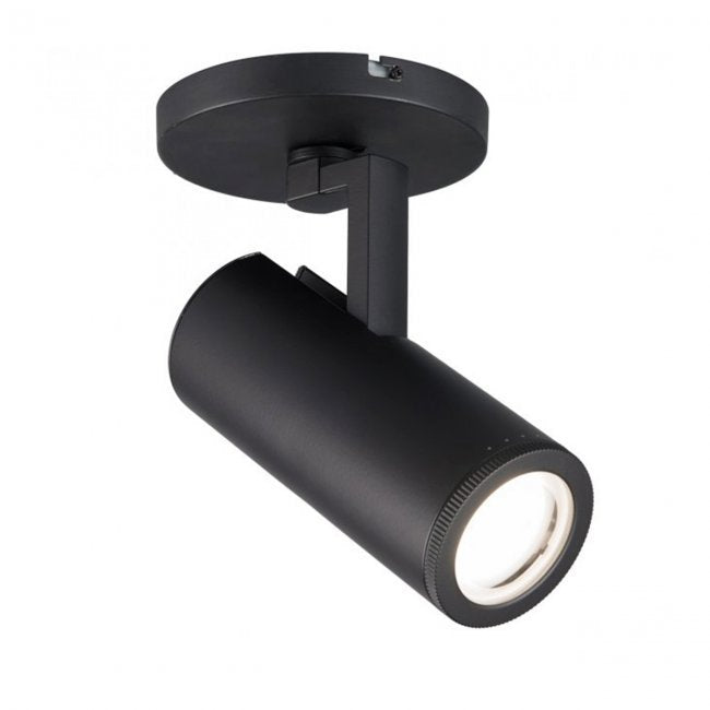 Paloma Spot Light