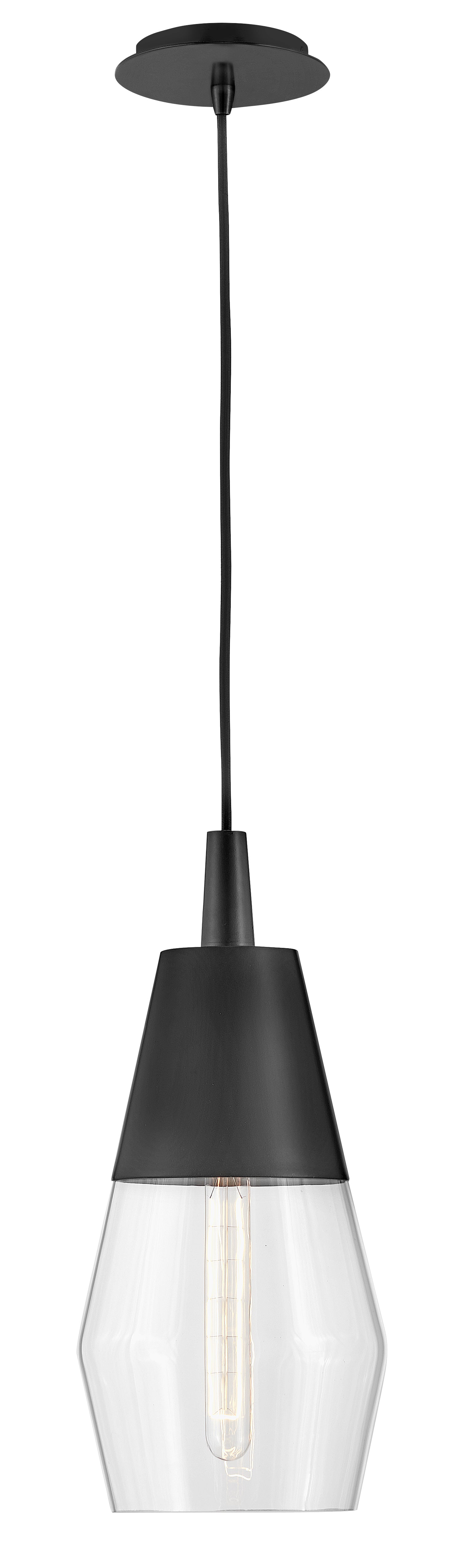 Livie Small Single Light Convertible Pendant