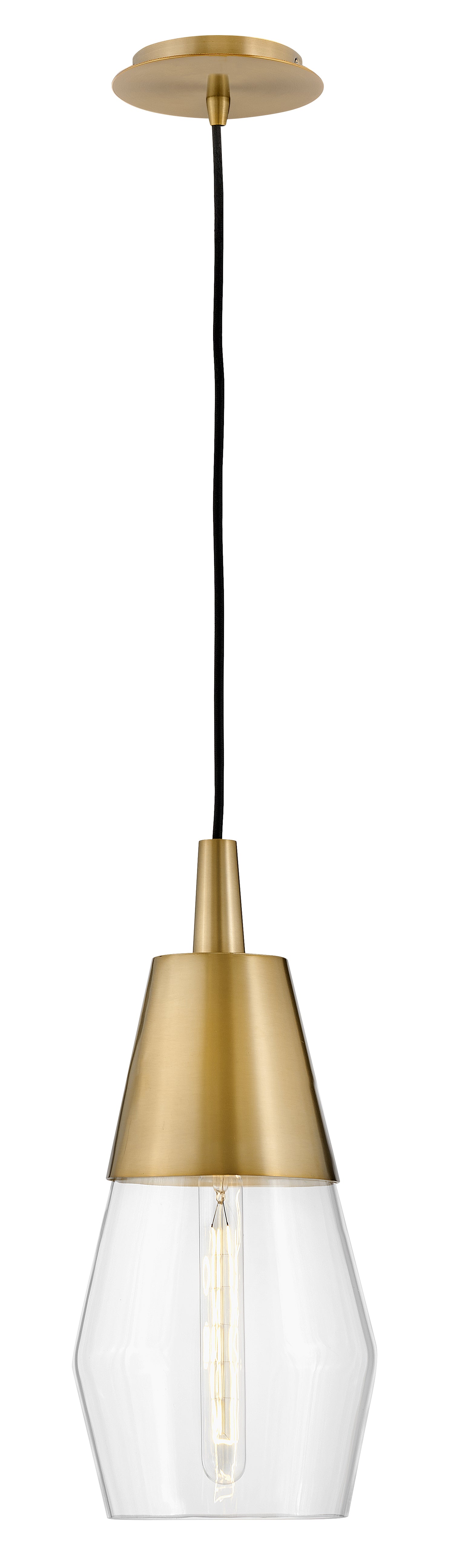 Livie Small Single Light Convertible Pendant