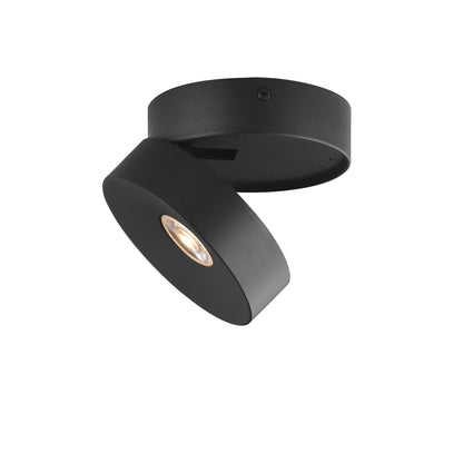 Swinger Flush Mount