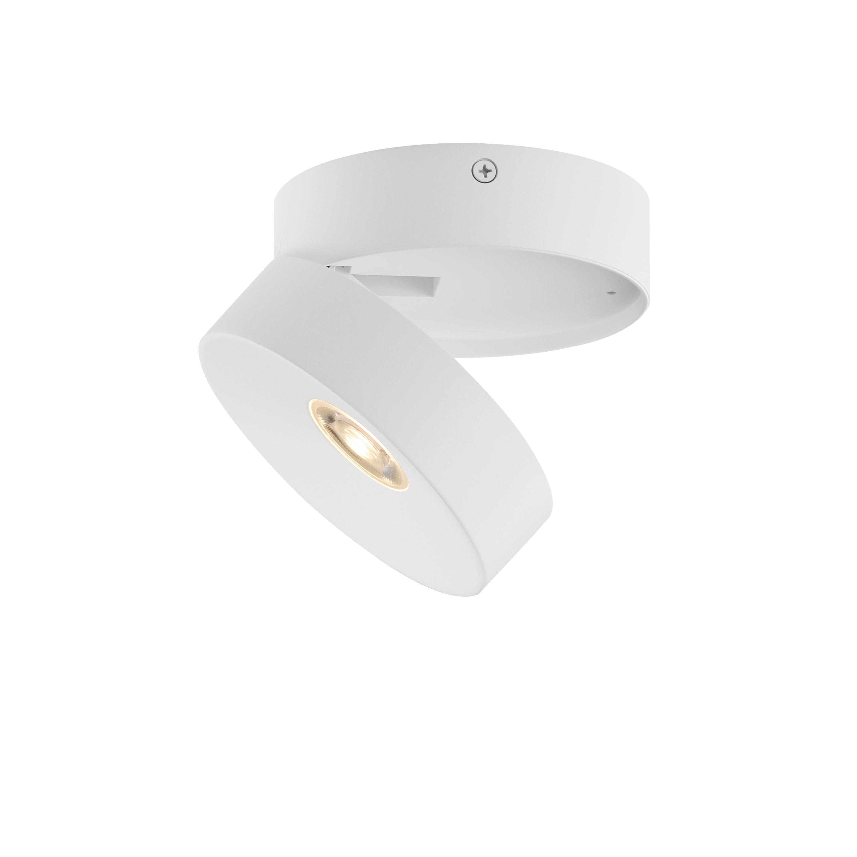 Swinger Flush Mount