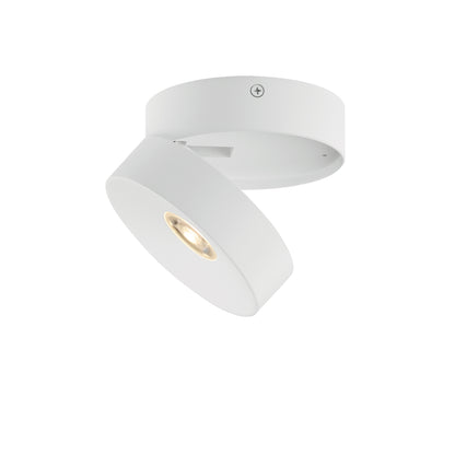 Swinger Flush Mount