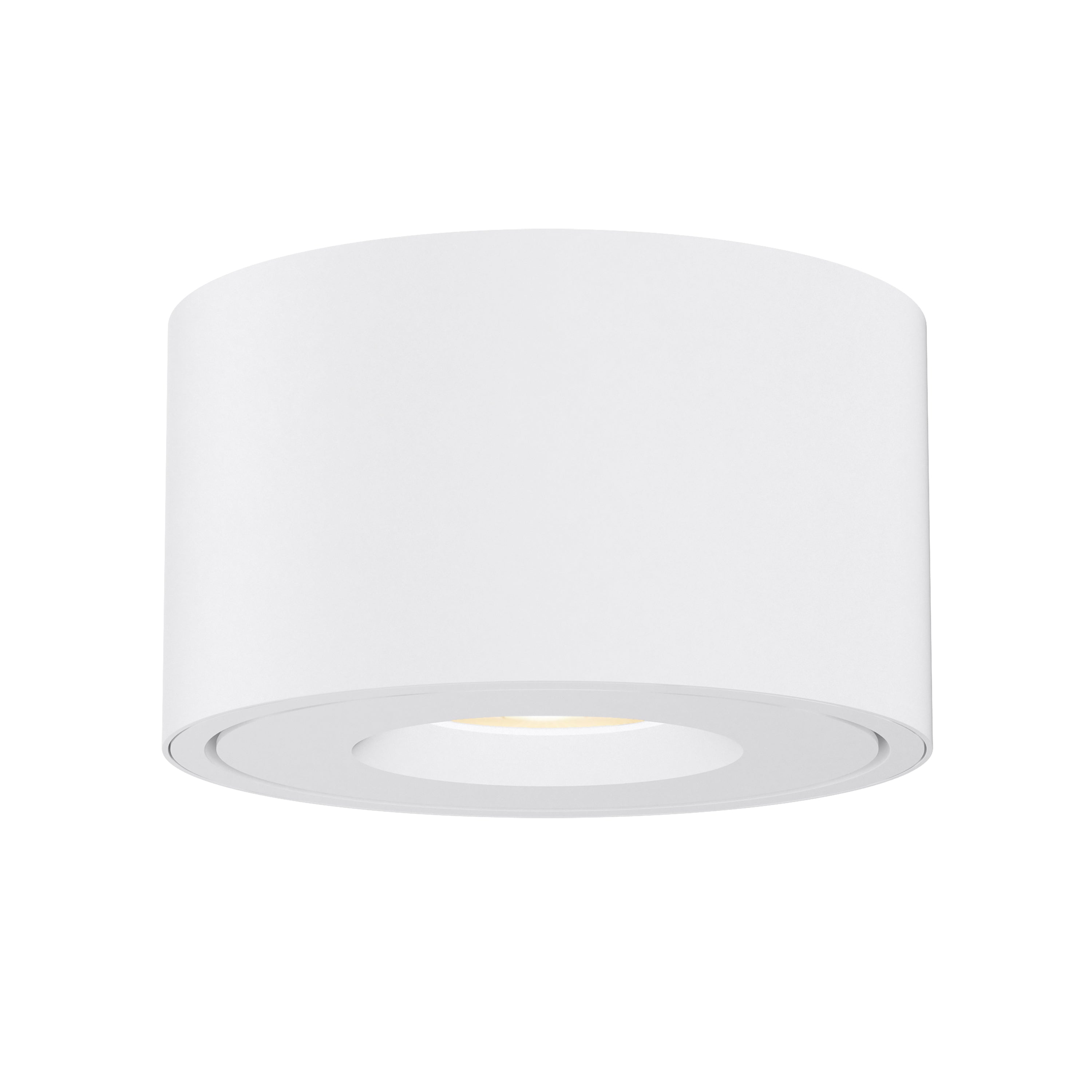 Fulcrum Flush Mount