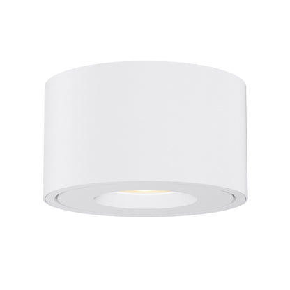 Fulcrum Flush Mount