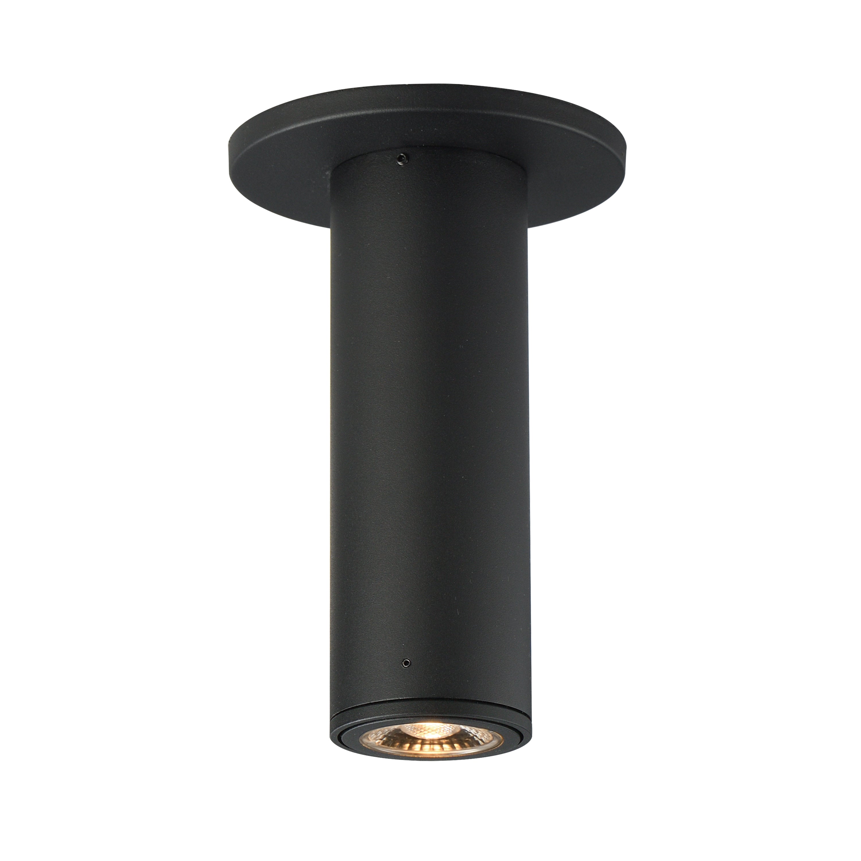 Fulcrum Flush Mount