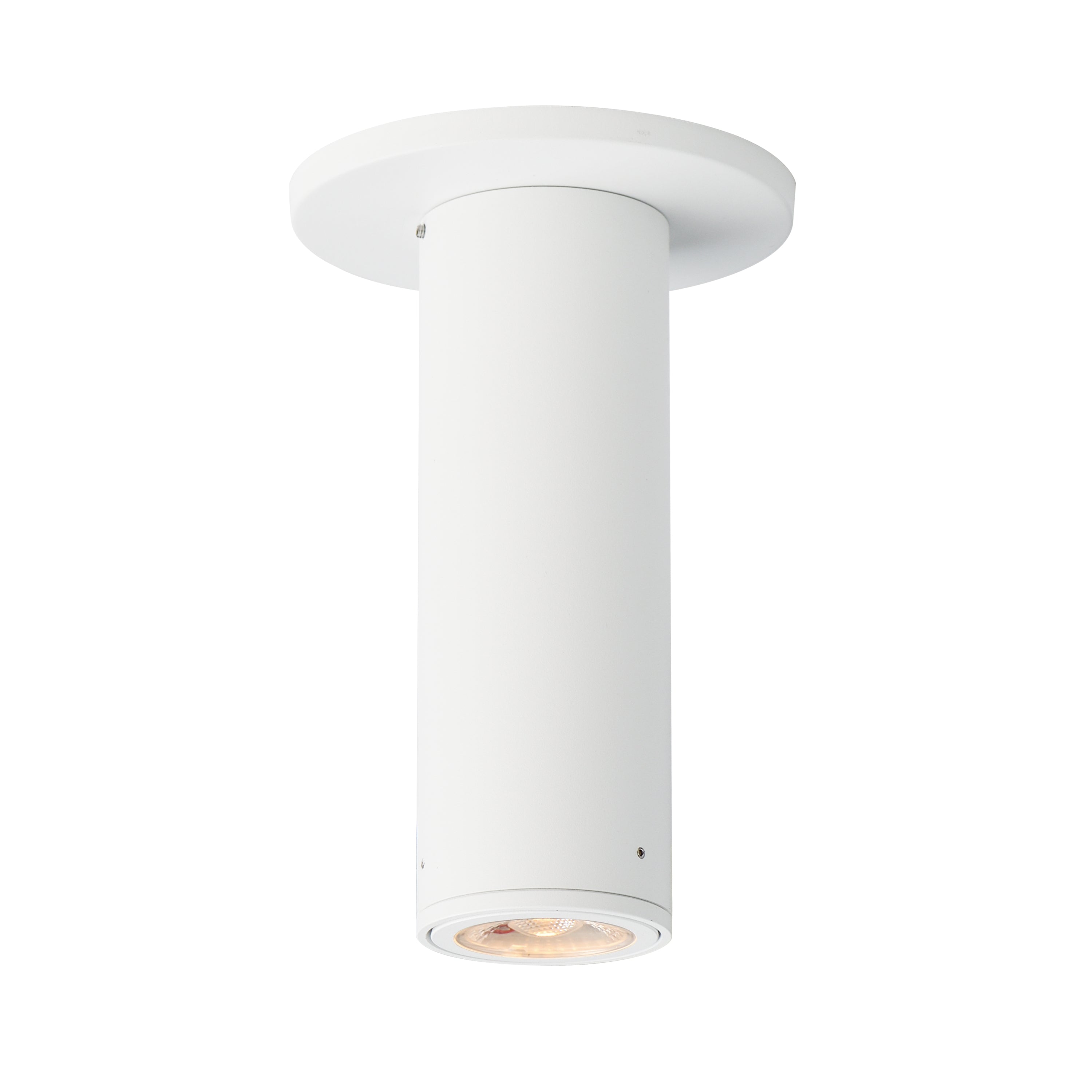 Fulcrum Flush Mount