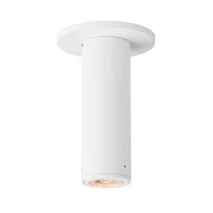 Fulcrum Flush Mount