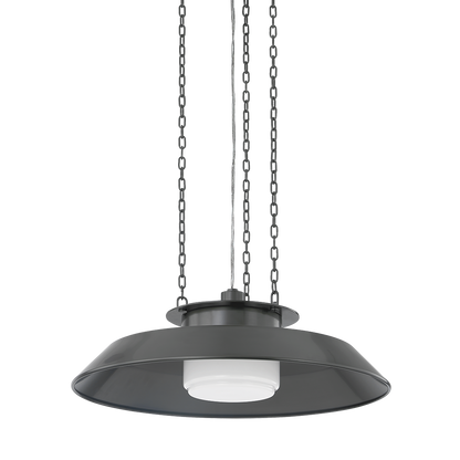 Woodrow Pendant