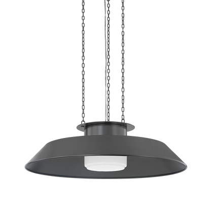 Woodrow Pendant