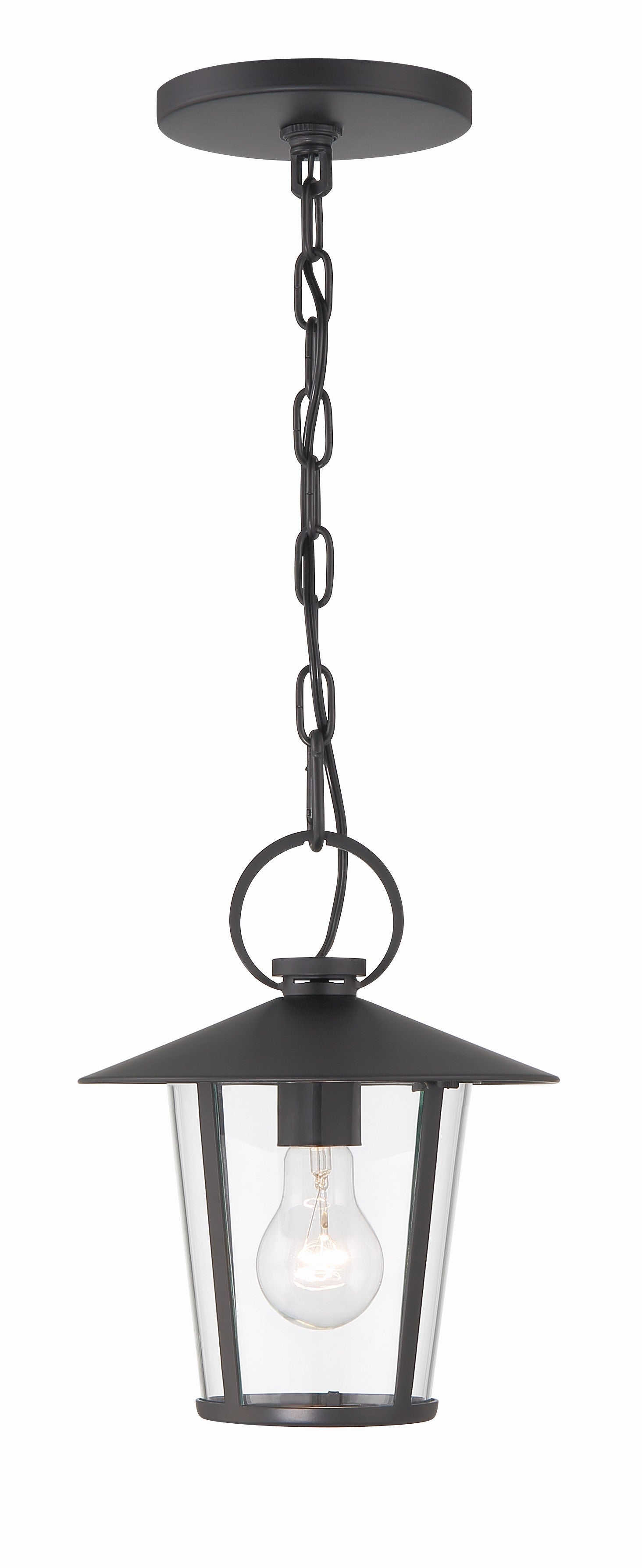 Andover 9'' Outdoor Pendant