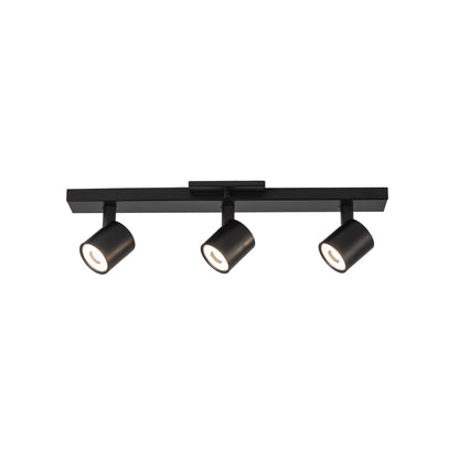 Arnold Track Light