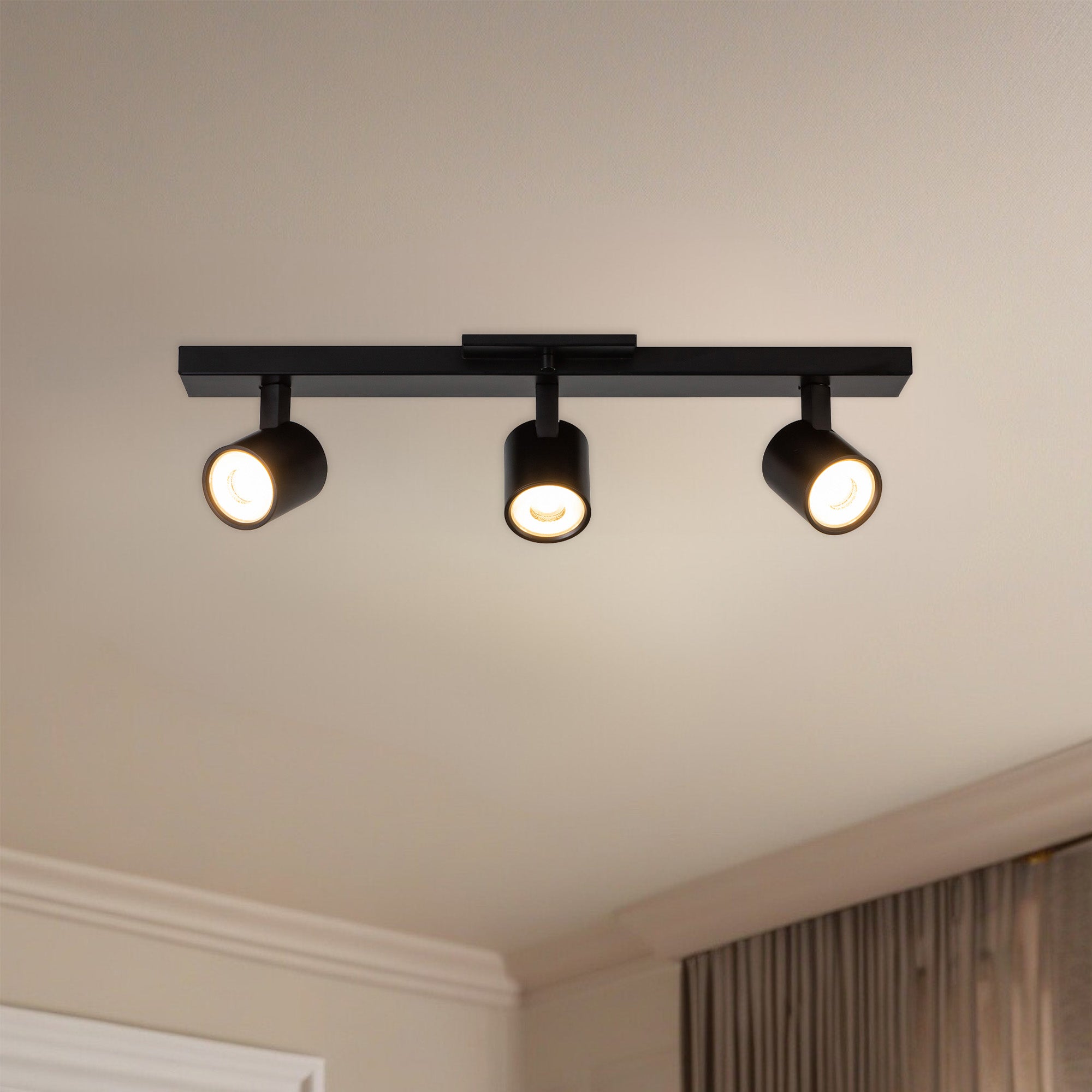 Arnold Track Light