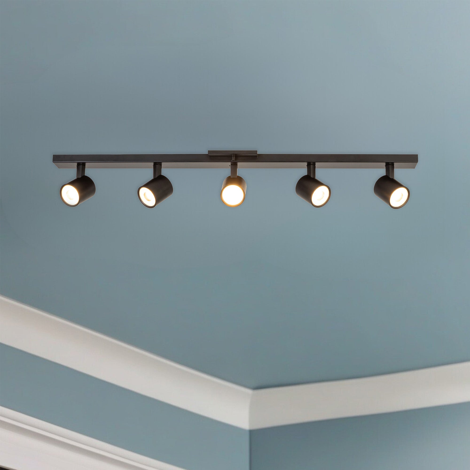 Arnold Track Light
