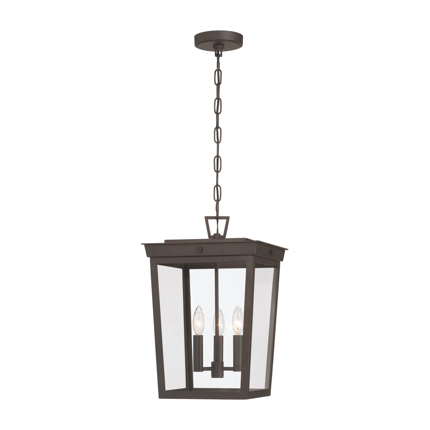 Belmont 12'' Outdoor Pendant