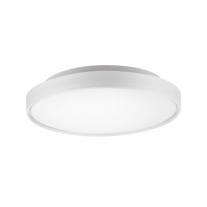 Brunswick Flush Mount