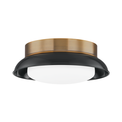 Arnie Flush Mount