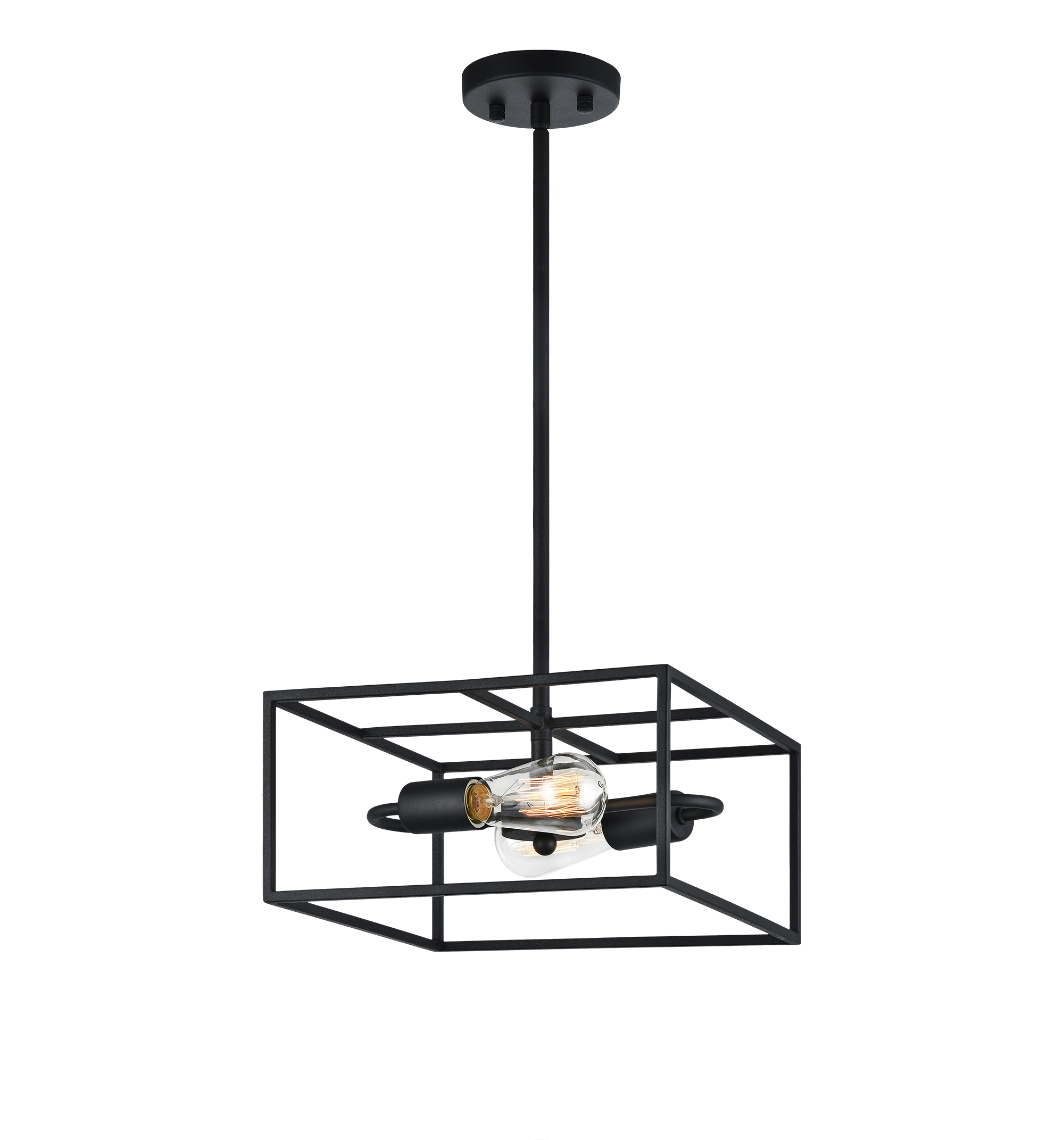 Candid Pendant 2 Light Pendant
