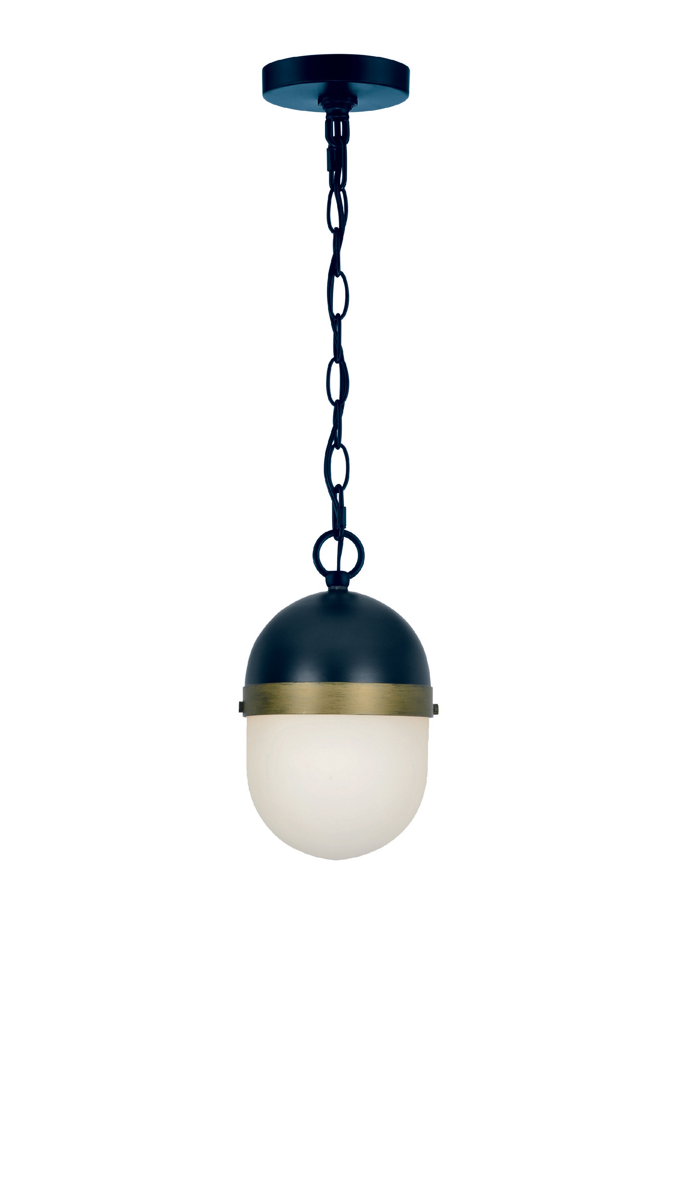 Capsule 12.25'' Outdoor Pendant