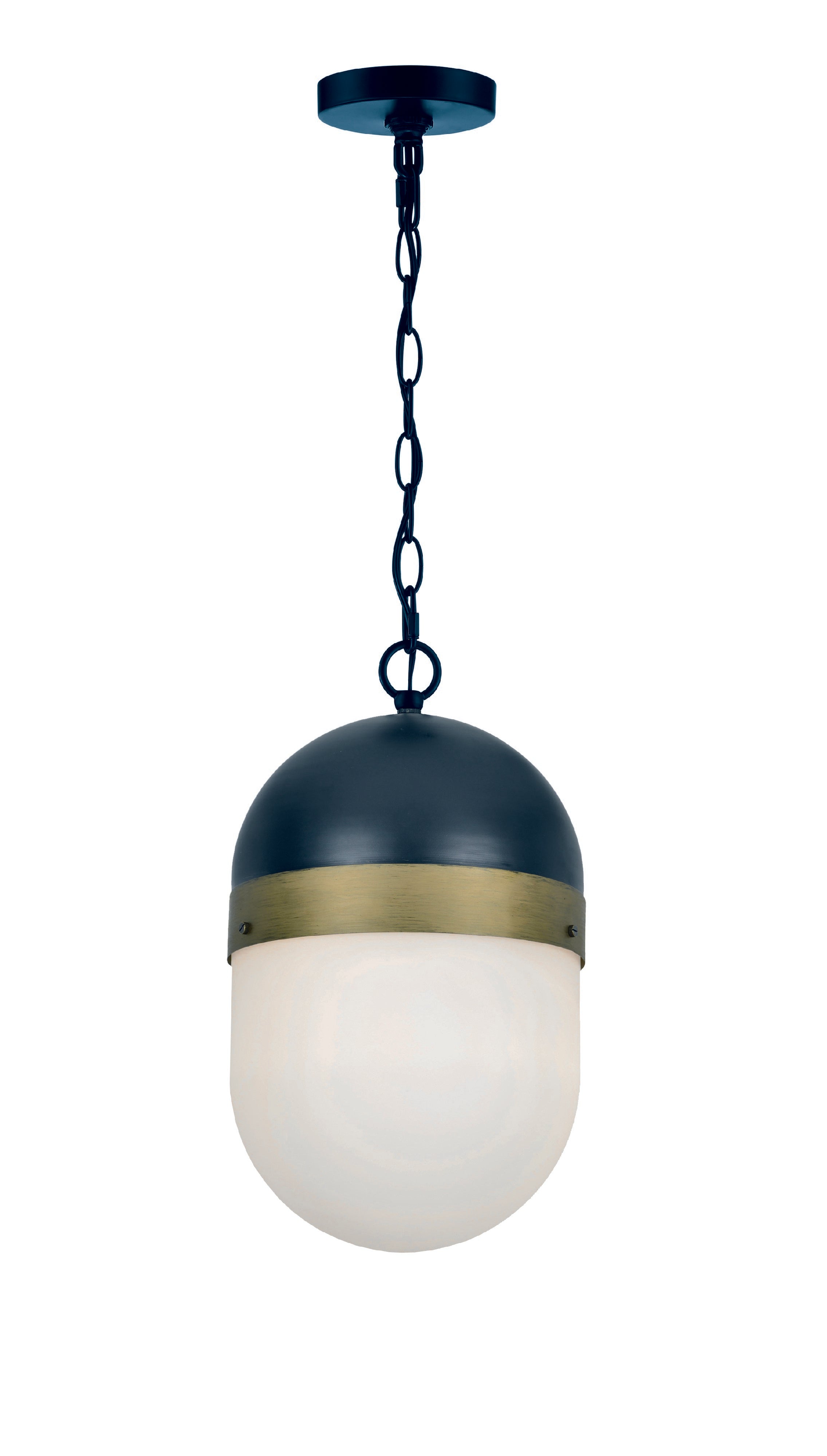 Capsule 8'' Outdoor Pendant