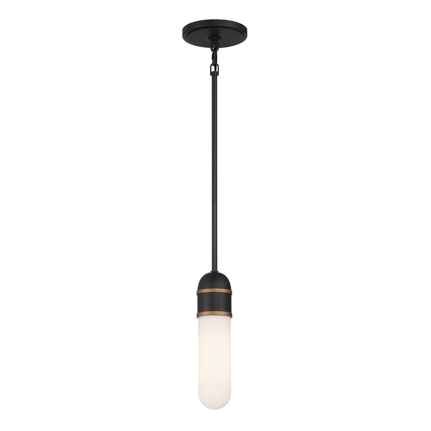 Capsule Pendant