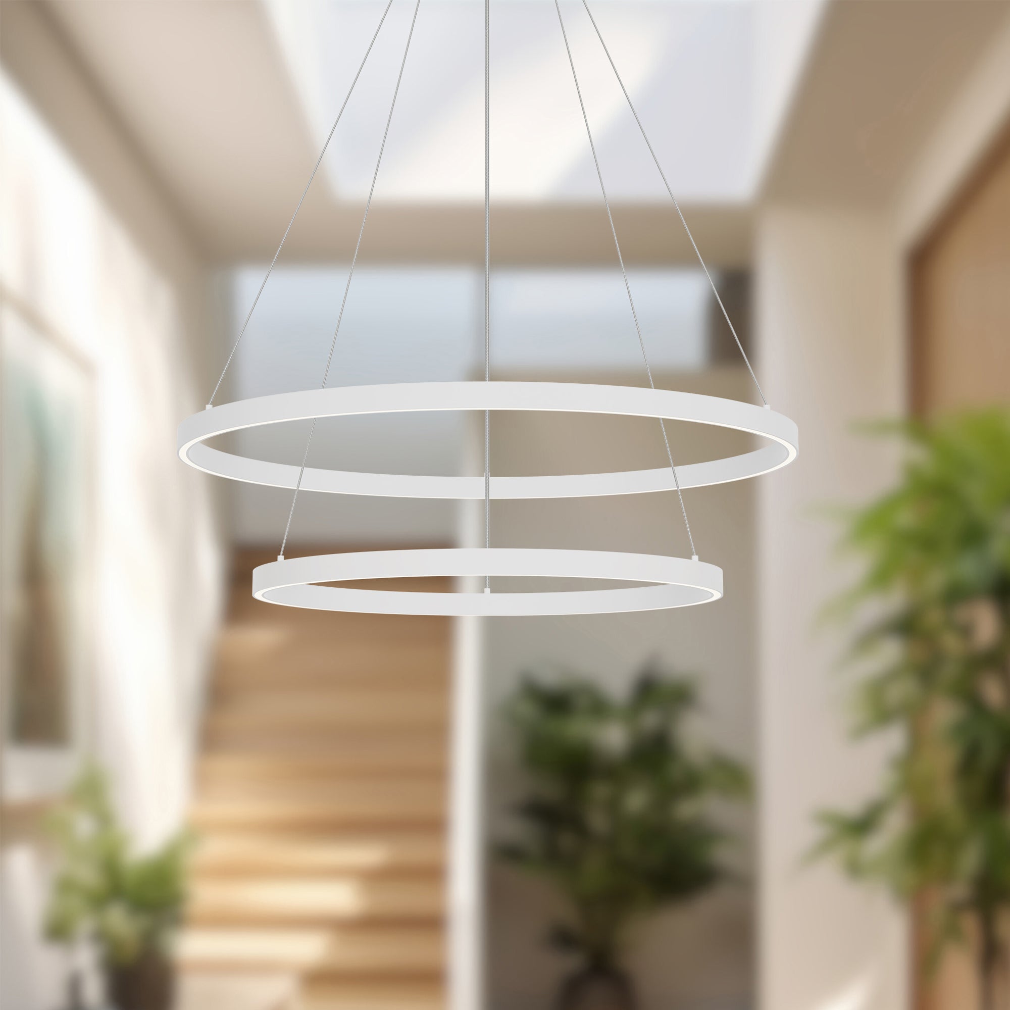Cerchio Chandelier