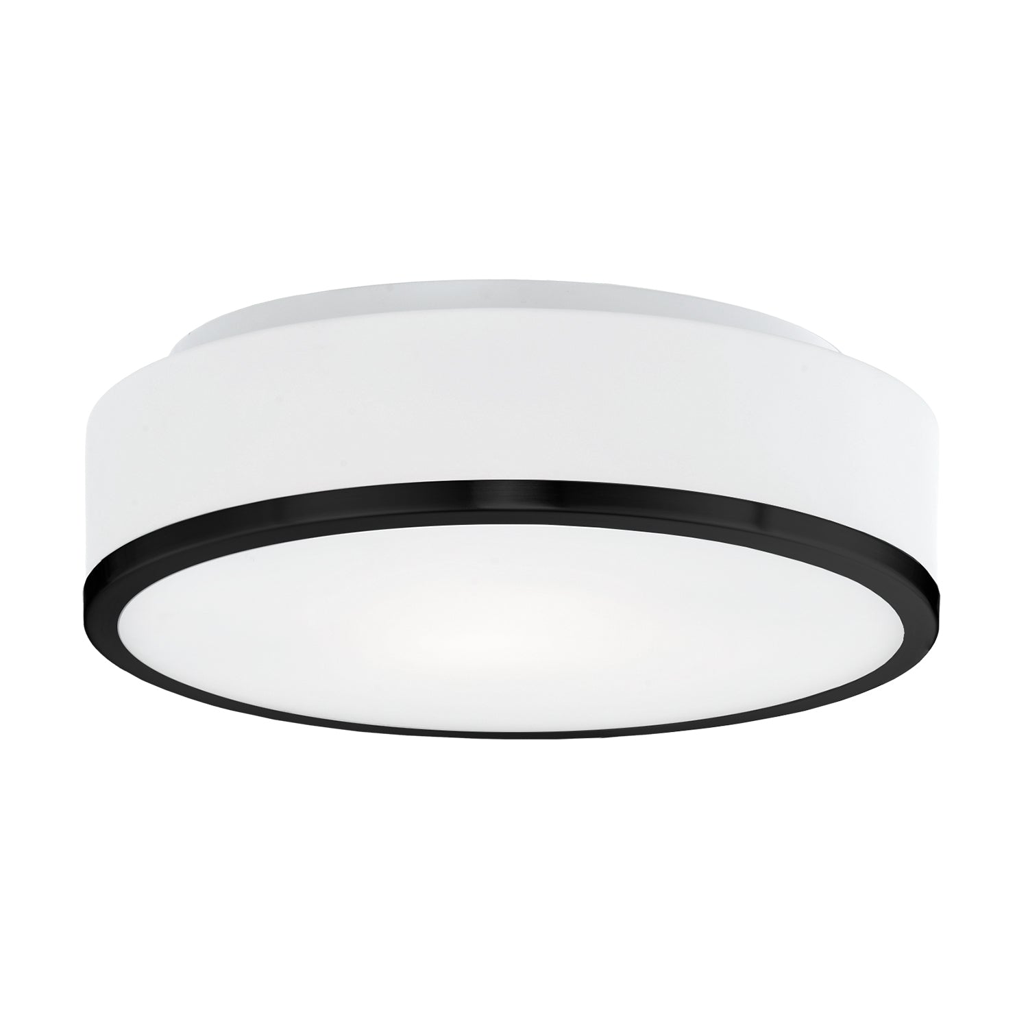 Charlie 12" 2 Lights Flush Mount