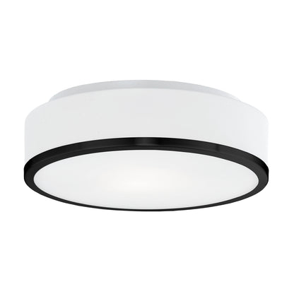 Charlie 12" 2 Lights Flush Mount