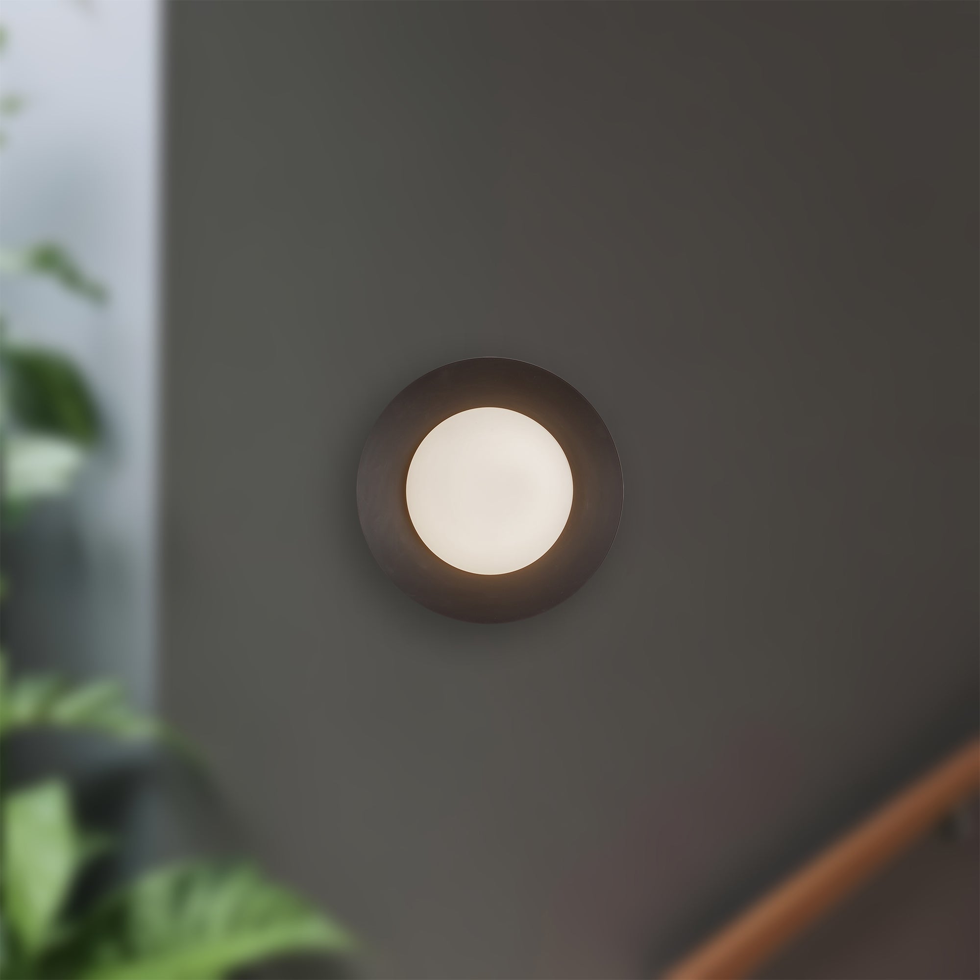 Cleo 9" LED Wall Sconce