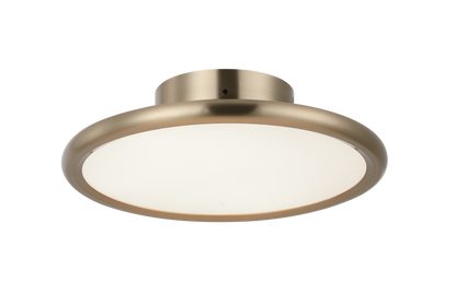 Piper Wall Sconce/Ceiling Mount 1 Light Pendant