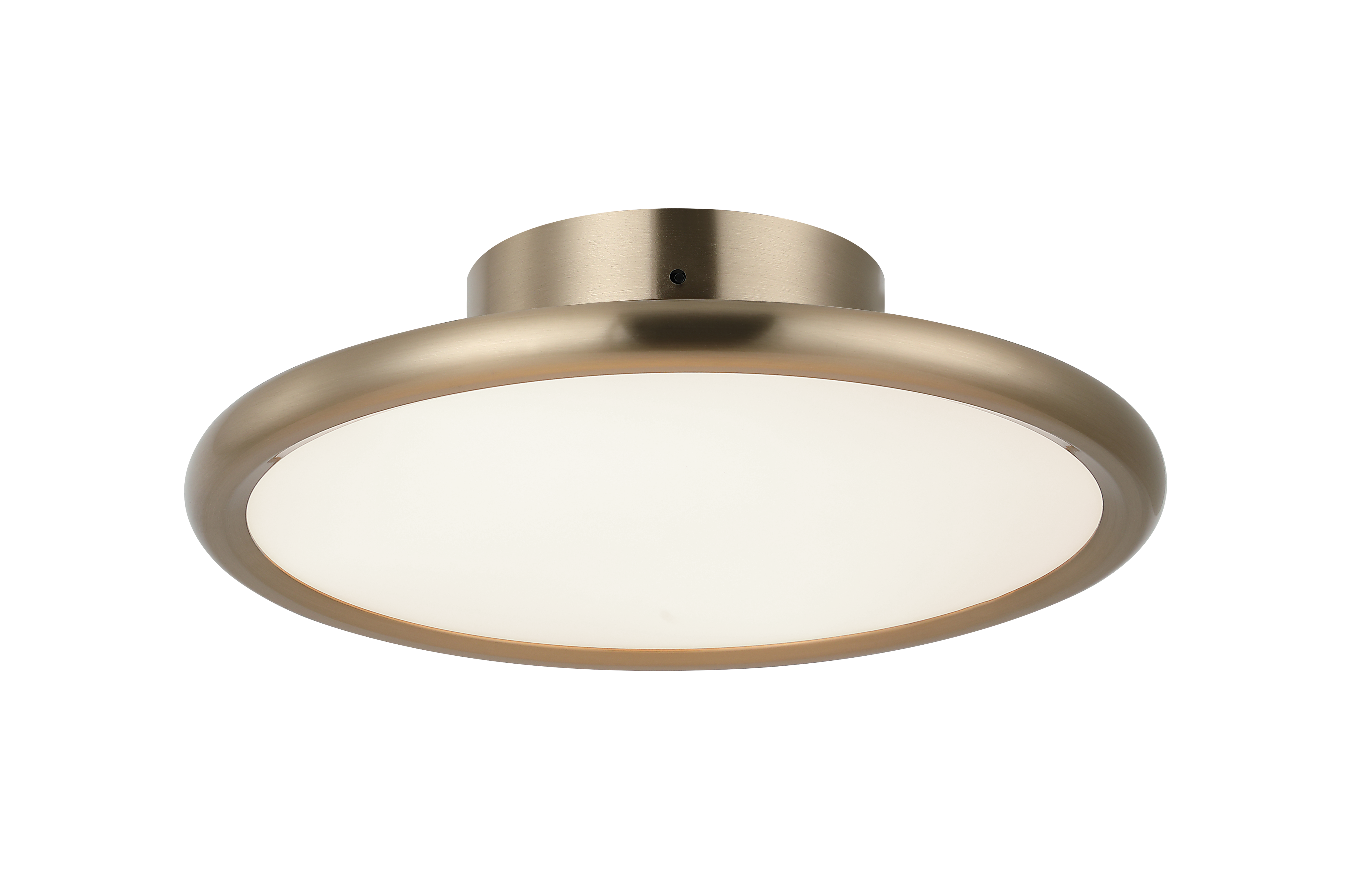 Piper Wall Sconce/Ceiling Mount 1 Light Pendant