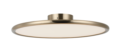 Piper Wall Sconce/Ceiling Mount 1 Light Pendant