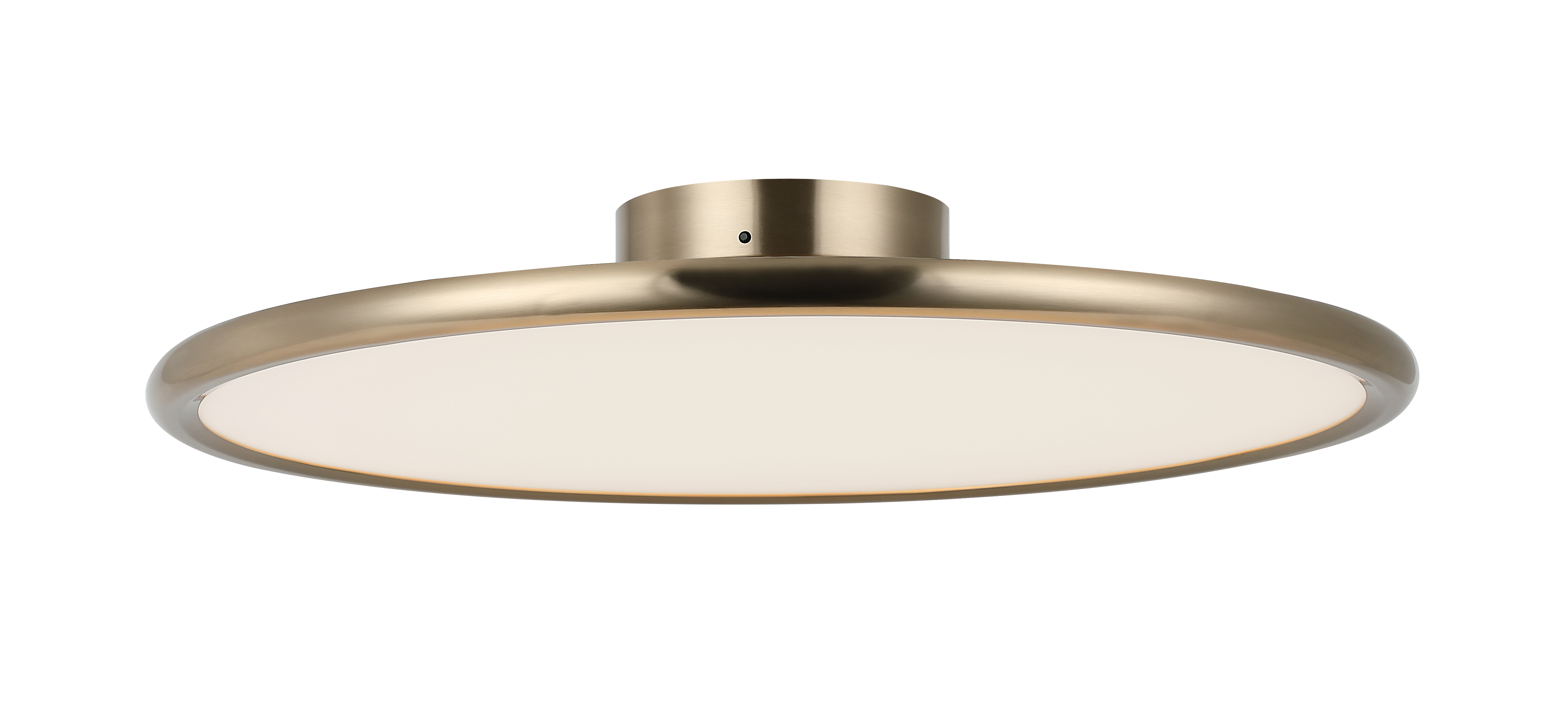 Piper Wall Sconce/Ceiling Mount 1 Light Pendant