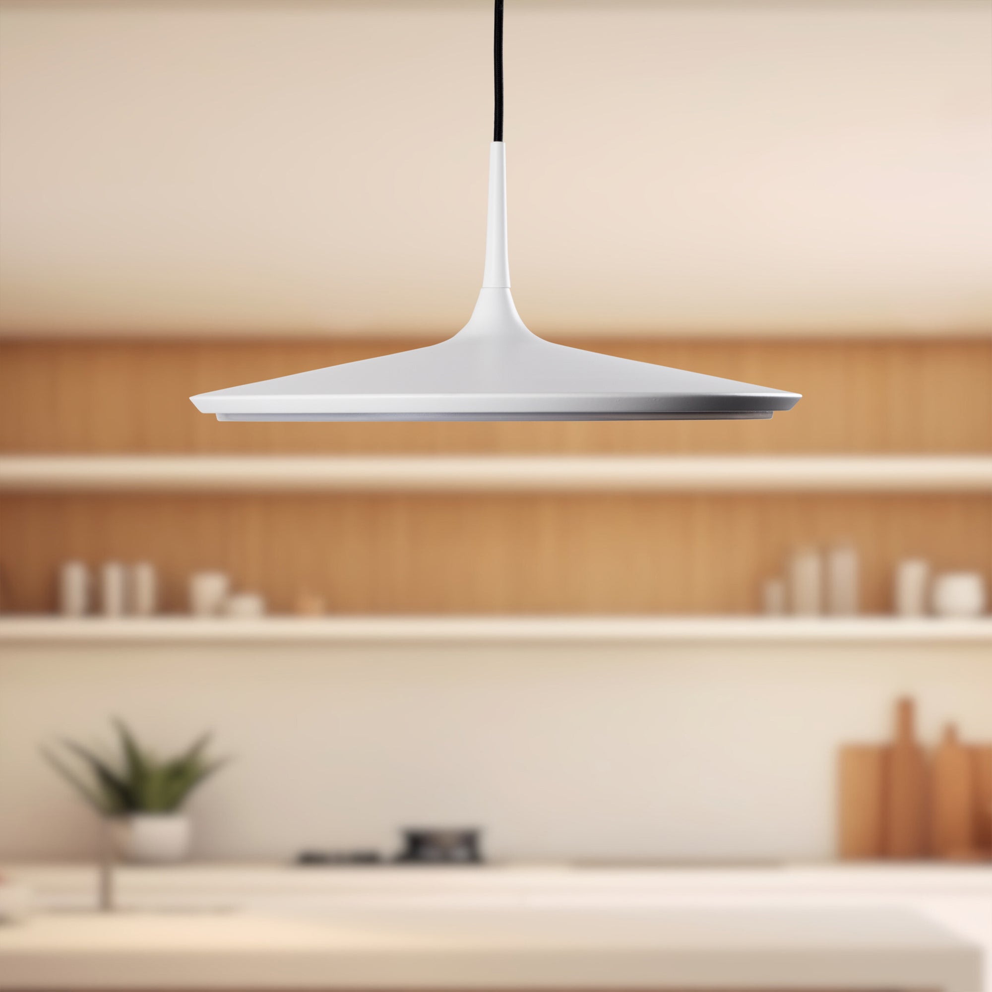 Disc Pendant