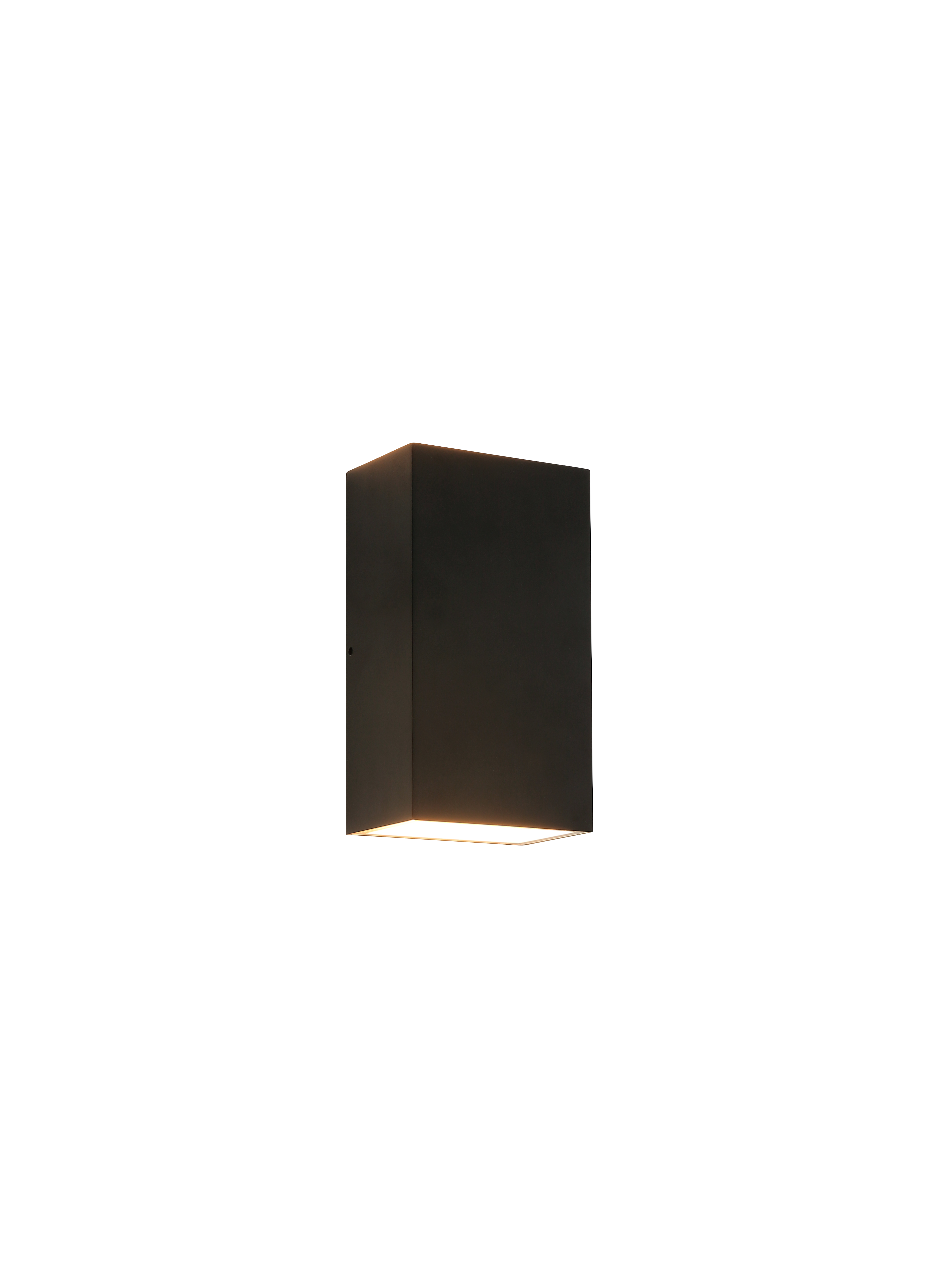Dexter Outdoor Lighting 2 Light Pendant