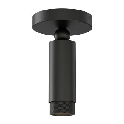 Cleo Flush Mount