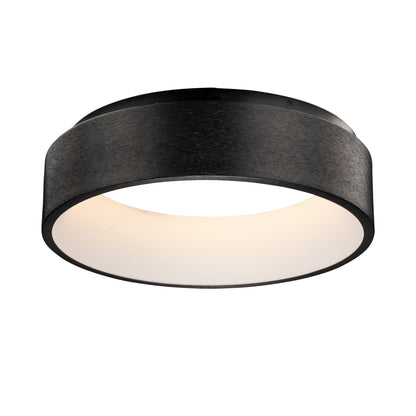 iQ WiZ Smart Light