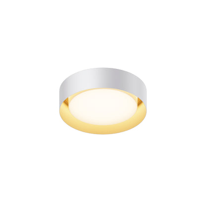 Echo Flush Mount