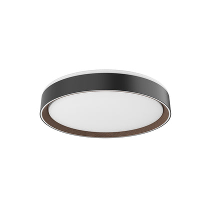 Essex Flush Mount