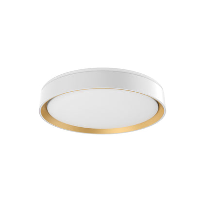 Essex Flush Mount