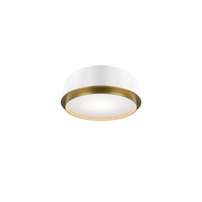 Salvo Flush Mount Light