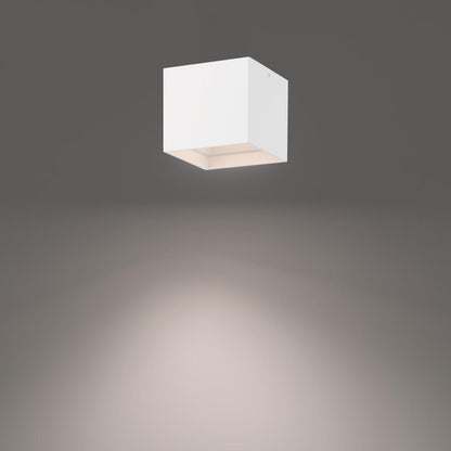 Downtown Outdoor Flush Mount Light