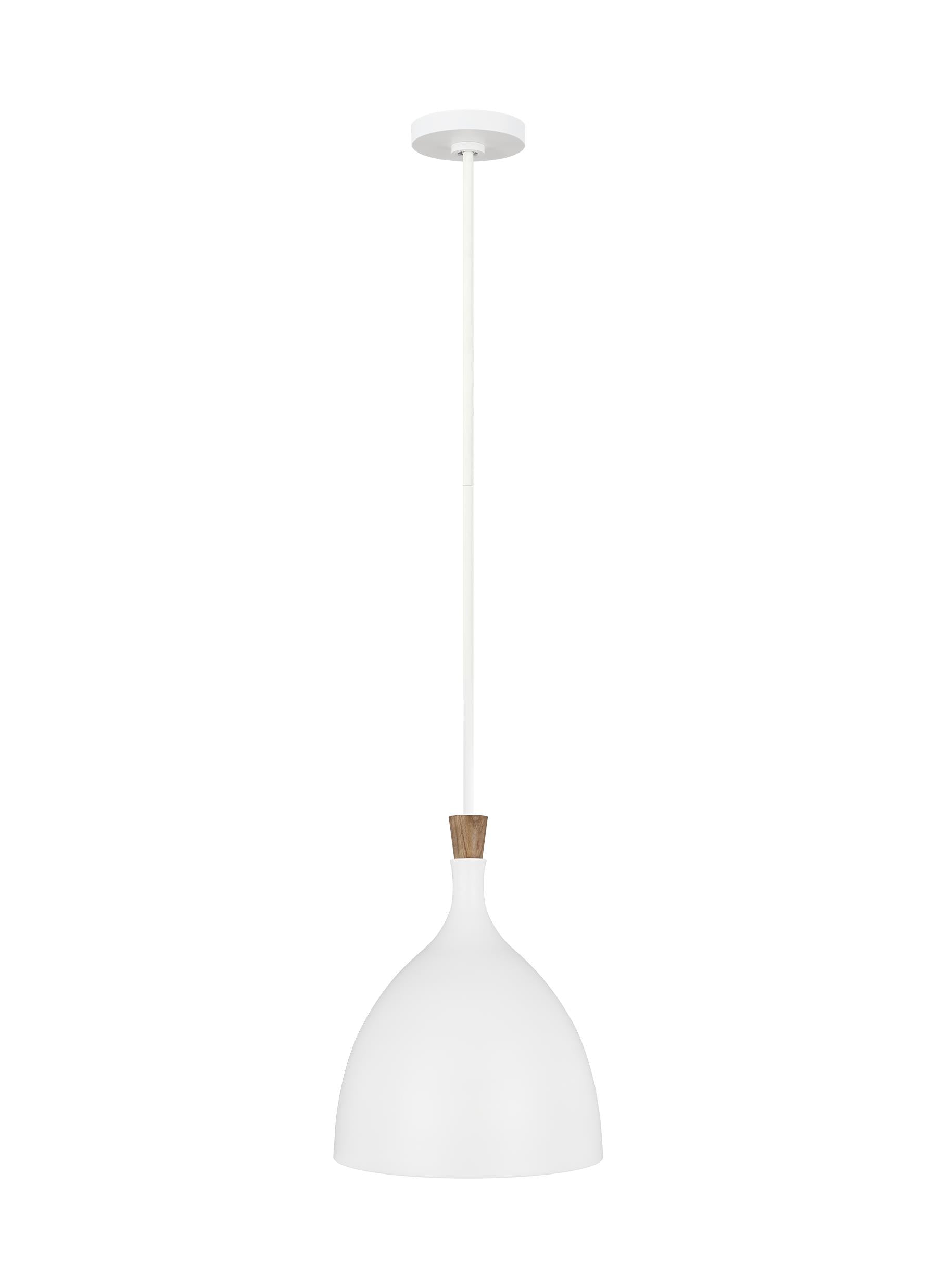 Darwin Pendant