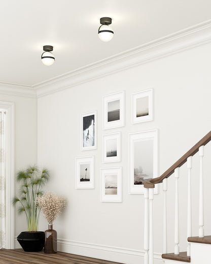 Globo Flush Mount