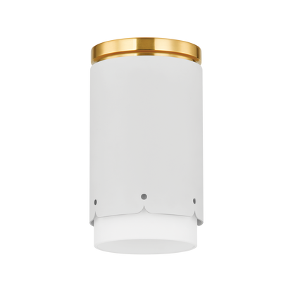 ASA Flush Mount