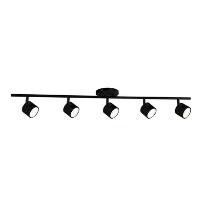 Lyra Track Light