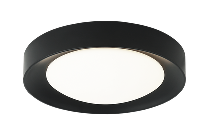 Essene Ceiling Mount