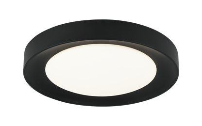Essene Ceiling Mount