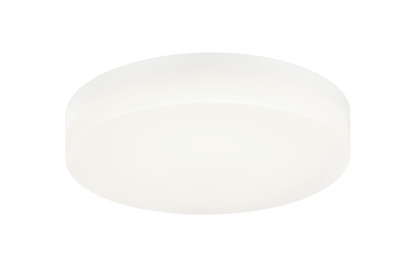 Zelle Ceiling Mount