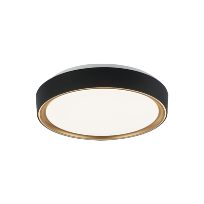 Alamus Ceiling Mount